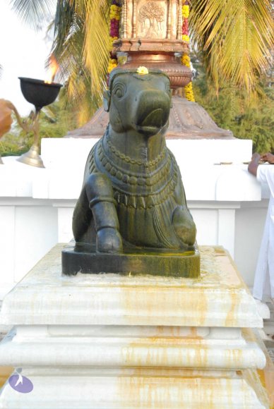 8-Pradosham-at-Bidadi_Photo_1023_DSC_3297_CMP_WM