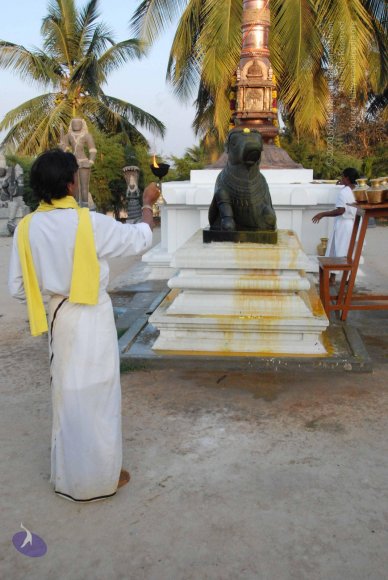 8-Pradosham-at-Bidadi_Photo_1024_DSC_3298_CMP_WM