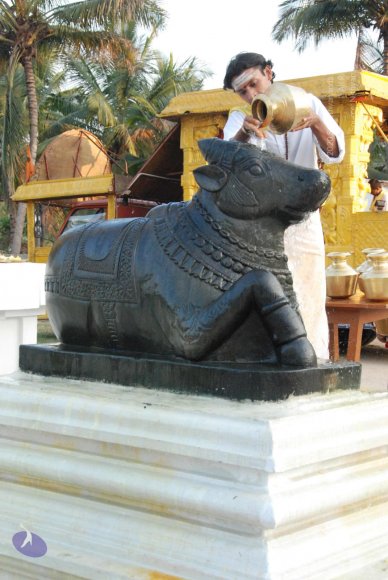 8-Pradosham-at-Bidadi_Photo_1027_DSC_3314_CMP_WM