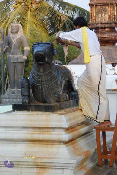 8-Pradosham-at-Bidadi_Photo_1028_DSC_3315_CMP_WM