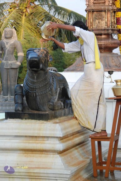 8-Pradosham-at-Bidadi_Photo_1029_DSC_3316_CMP_WM