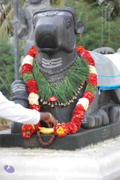 8-Pradosham-at-Bidadi_Photo_1030_DSC_3324_CMP_WM