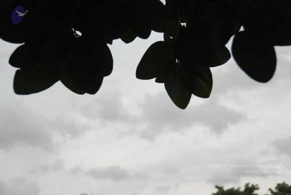 DSC_3526_CMP_WM