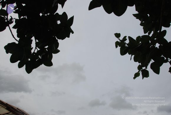 DSC_3535_CMP_WM