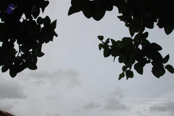 DSC_3536_CMP_WM
