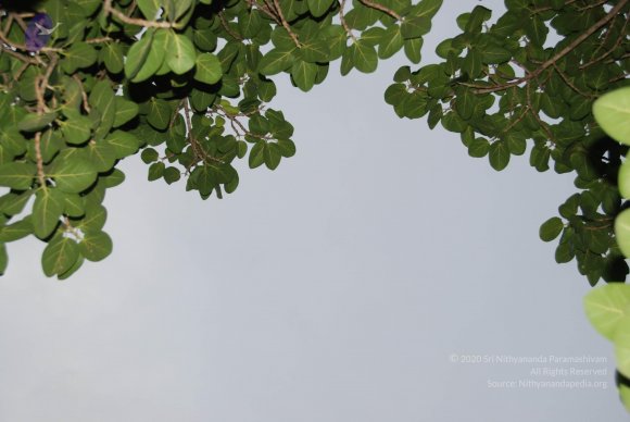 DSC_3539_CMP_WM