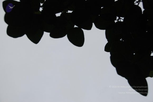 DSC_3548_CMP_WM