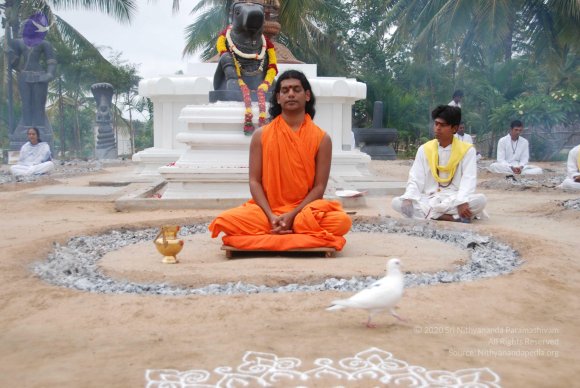 20100704_Photo_1023_DSC_4217_CMP_WM