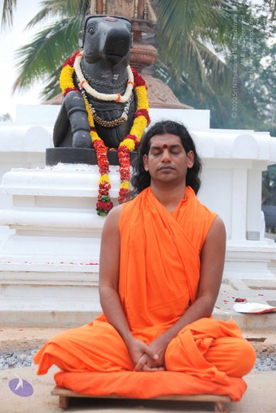 20100704_Photo_1028_DSC_4222_CMP_WM