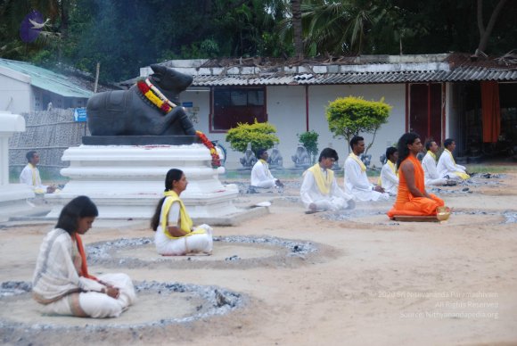 20100704_Photo_1049_DSC_4241_CMP_WM-2