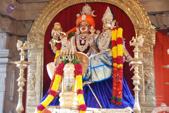 20100704_Photo_1101_DSC_4291_CMP_WM