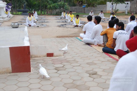 20100704_Photo_1104_DSC_4297_CMP_WM