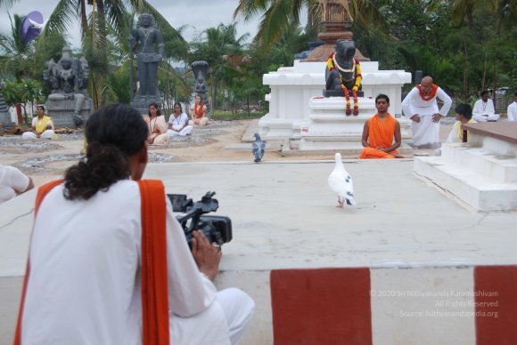 20100704_Photo_1148_DSC_4353_CMP_WM