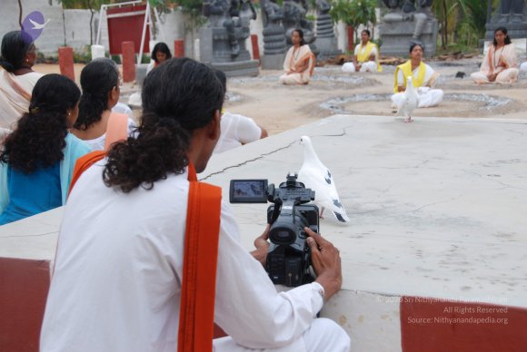 20100704_Photo_1151_DSC_4356_CMP_WM