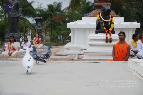 20100704_Photo_1164_DSC_4369_CMP_WM