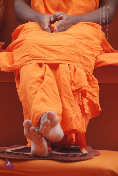 20100704_Photo_1015_DSC_4427_CMP_WM