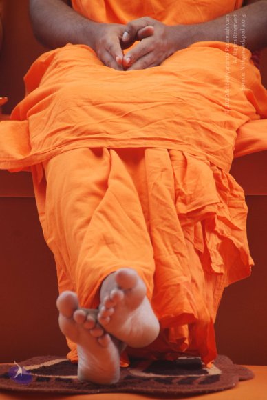 20100704_Photo_1017_DSC_4429_CMP_WM