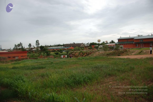 20100704_Photo_1004_DSC_4590_CMP_WM