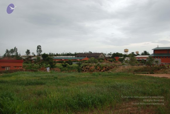 20100704_Photo_1005_DSC_4591_CMP_WM