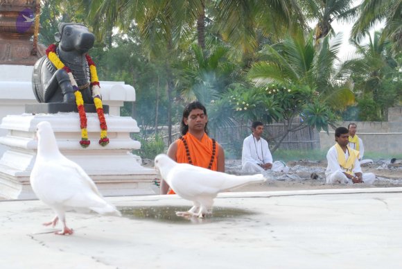 20100707_Photo_1075_DSC_1383_CMP_WM