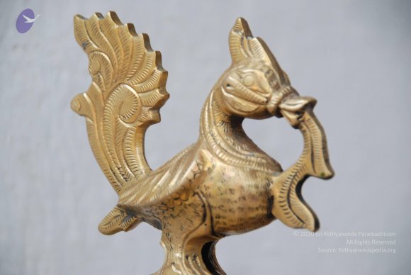 20100717_Photo_1012_DSC_1624_CMP_WM