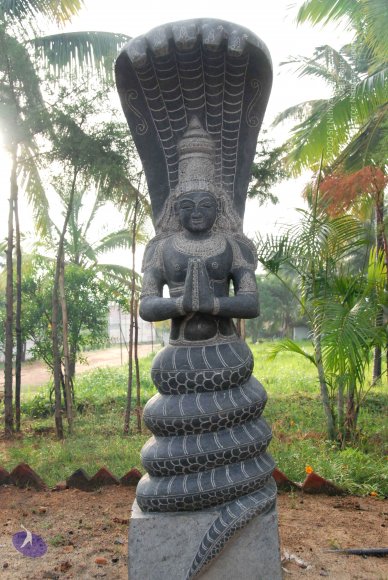 20100717_Photo_1014_DSC_1585_CMP_WM