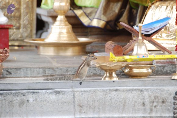 20100717_Photo_1024_DSC_1607_CMP_WM