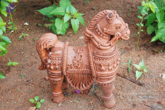 20100717_Photo_1025_DSC_1559_CMP_WM