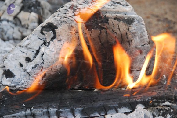 20100717_Photo_1028_DSC_1572_CMP_WM