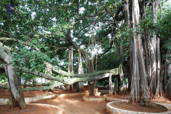 20100717_Photo_1029_DSC_1679_CMP_WM