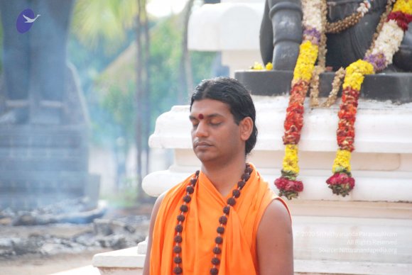 20100717_Photo_1031_DSC_1681_CMP_WM