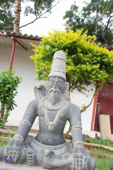 20100717_Photo_1033_DSC_1596_CMP_WM