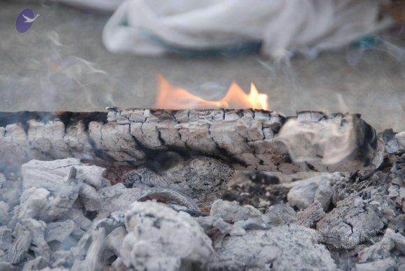 20100717_Photo_1034_DSC_1569_CMP_WM