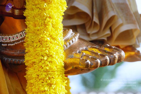 20100717_Photo_1038_DSC_1662_CMP_WM