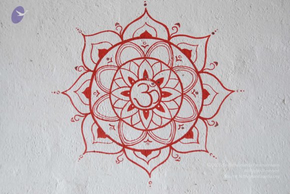 20100717_Photo_1042_DSC_1626_CMP_WM