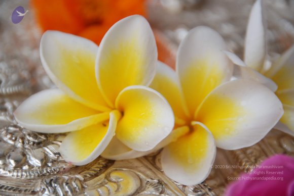 20100717_Photo_1052_DSC_1614_CMP_WM