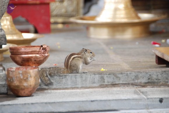 20100717_Photo_1053_DSC_1608_CMP_WM