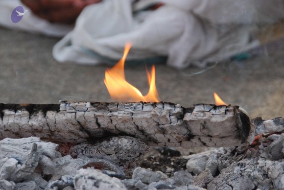 20100717_Photo_1056_DSC_1570_CMP_WM