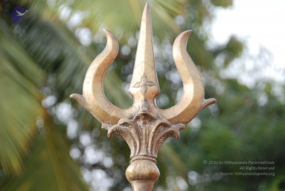 20100717_Photo_1074_DSC_1606_CMP_WM