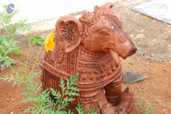 20100717_Photo_1076_DSC_1653_CMP_WM