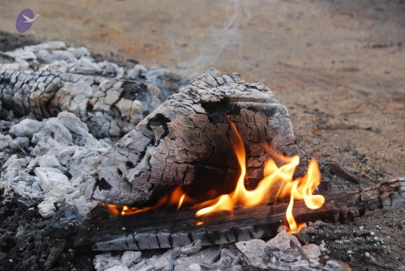 20100717_Photo_1079_DSC_1573_CMP_WM