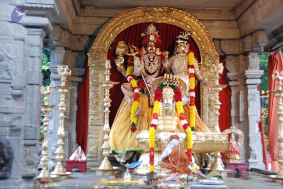 20100717_Photo_1090_DSC_1550_CMP_WM