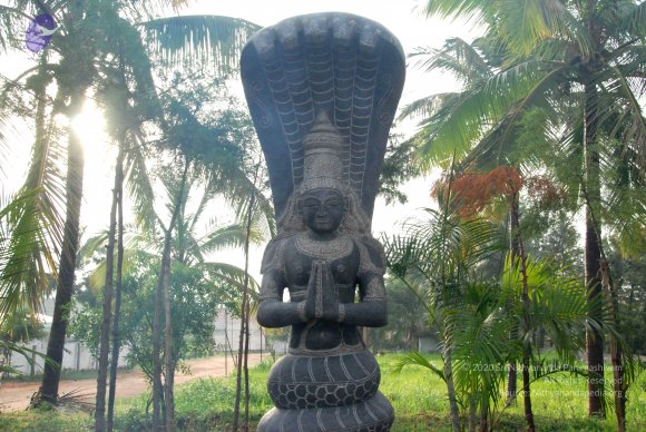 20100717_Photo_1092_DSC_1584_CMP_WM