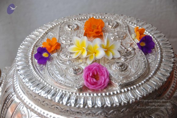 20100717_Photo_1102_DSC_1609_CMP_WM