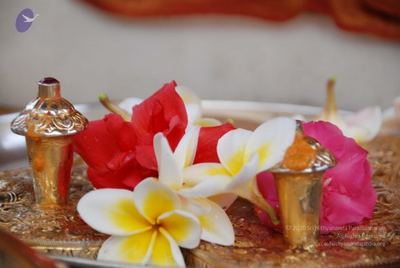 20100717_Photo_1107_DSC_1618_CMP_WM