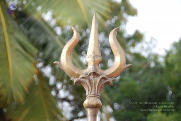 20100717_Photo_1109_DSC_1604_CMP_WM