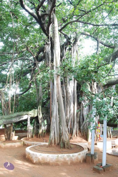 20100717_Photo_1115_DSC_1680_CMP_WM