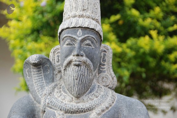 20100717_Photo_1118_DSC_1601_CMP_WM