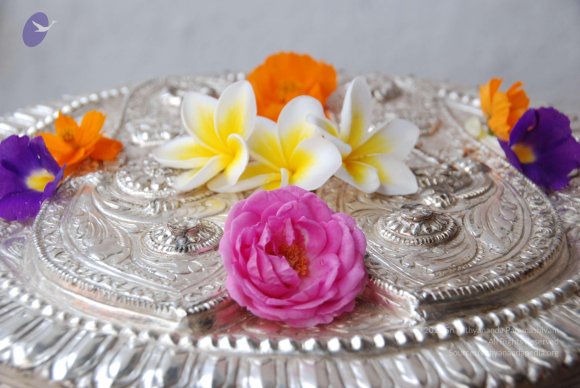 20100717_Photo_1125_DSC_1610_CMP_WM