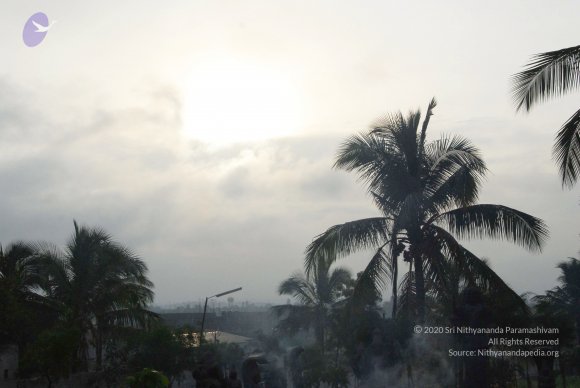 20100717_Photo_1128_DSC_1565_CMP_WM